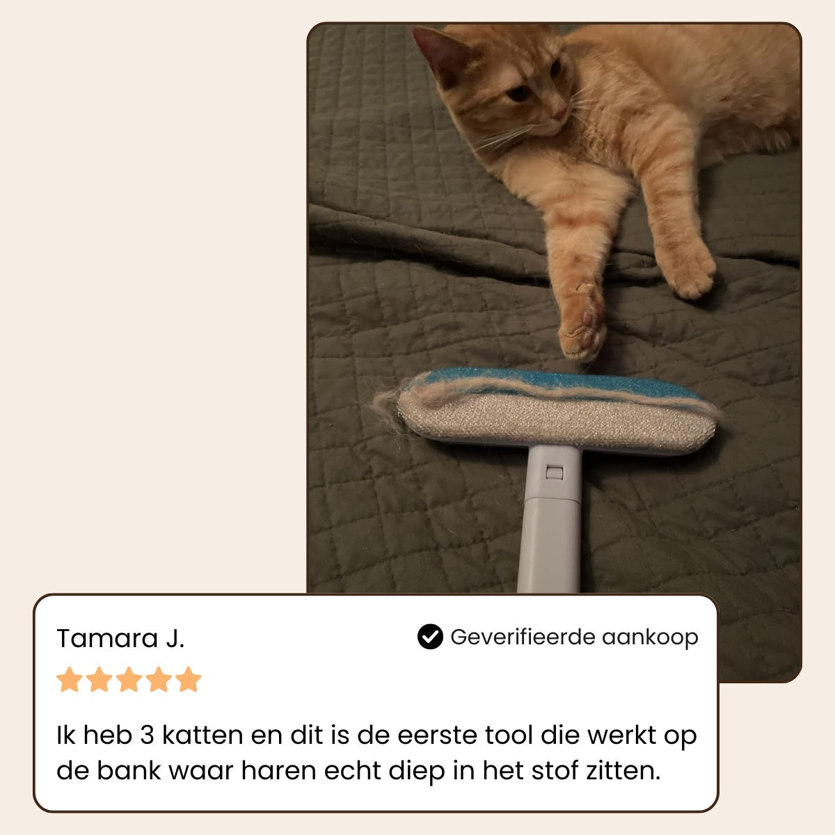CharmPaws® MultiSwipe Pro | Épilateur 3-en-1 pour animaux de compagnie